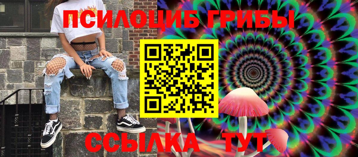 Галлюциногенные грибы Psilocybe  Коряжма 