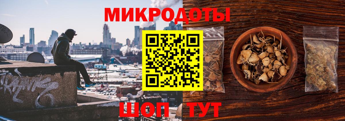 Галлюциногенные грибы прущие грибы Коряжма
