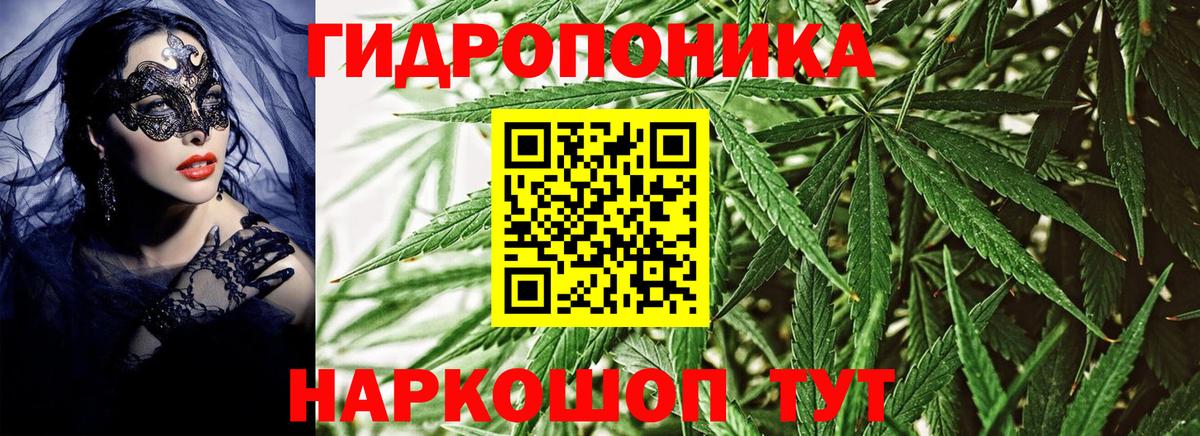 Коряжма  Вход с VPN  Меф МЯУ МЯУ кристаллы  Гашиш  Конопля  A PVP СОЛЬ  